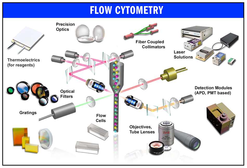 flow cytometry